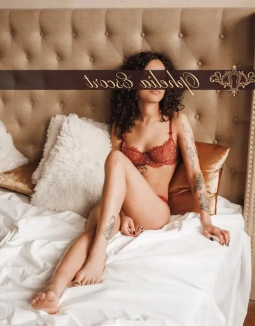 Escort Yangjingwen, Malaysia - 10336